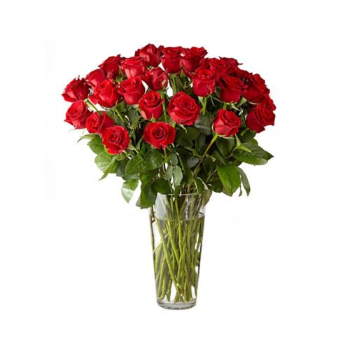 Long-Stem-Red-Roses---36