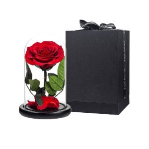 Red-Forever-Rose-Preserved Rose