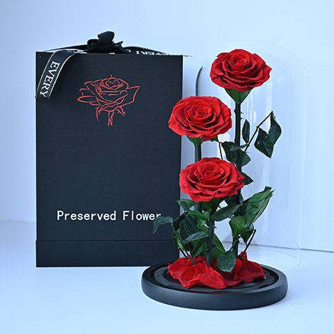 Triplets-Red-Forever-Roses-1