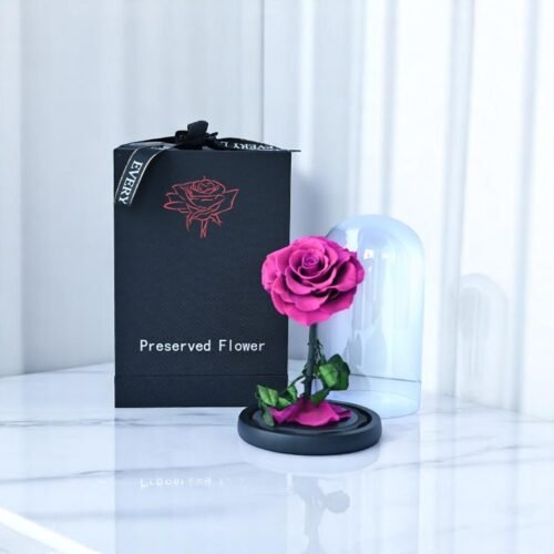 Purple Forever Rose