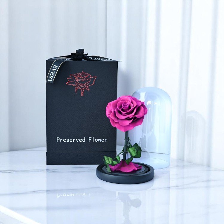Purple Forever Rose