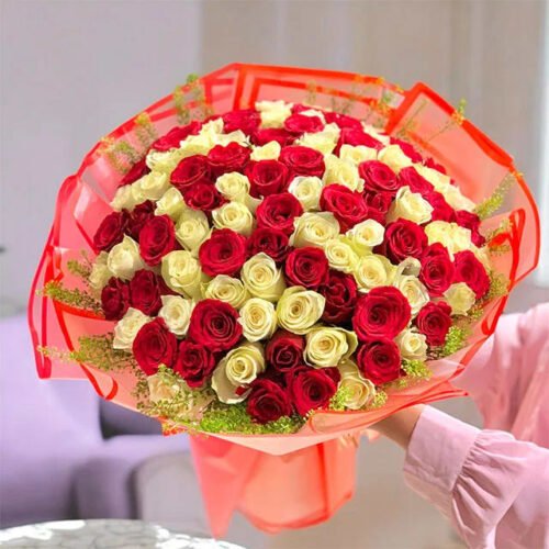 100-Red-and-White-Roses