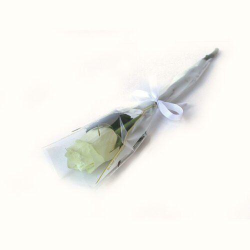 Single-White-Roses
