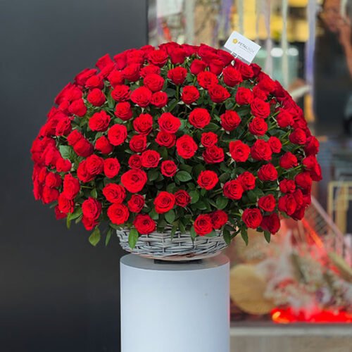 300-Red-Roses-Basket