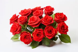 red roses