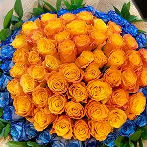 Orange-Roses