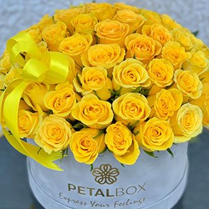 Yellow-Roses