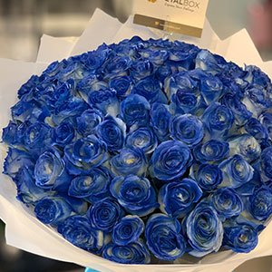 blue-roses