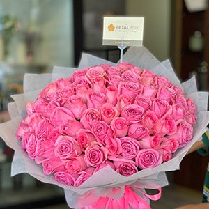 pink-roses