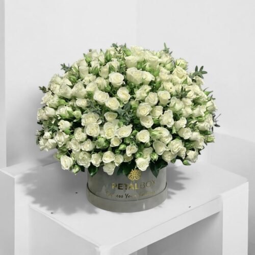 White Baby Roses Box