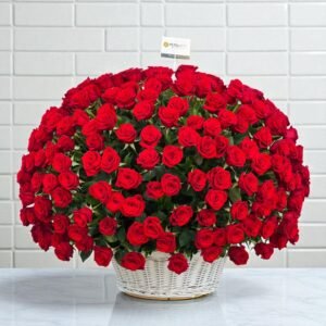 500 Red Roses Basket