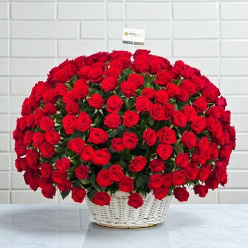 500 Red Roses Basket