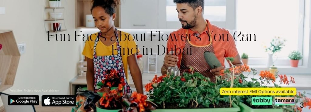 Fun Facts About Flowers You Can Find in Dubai