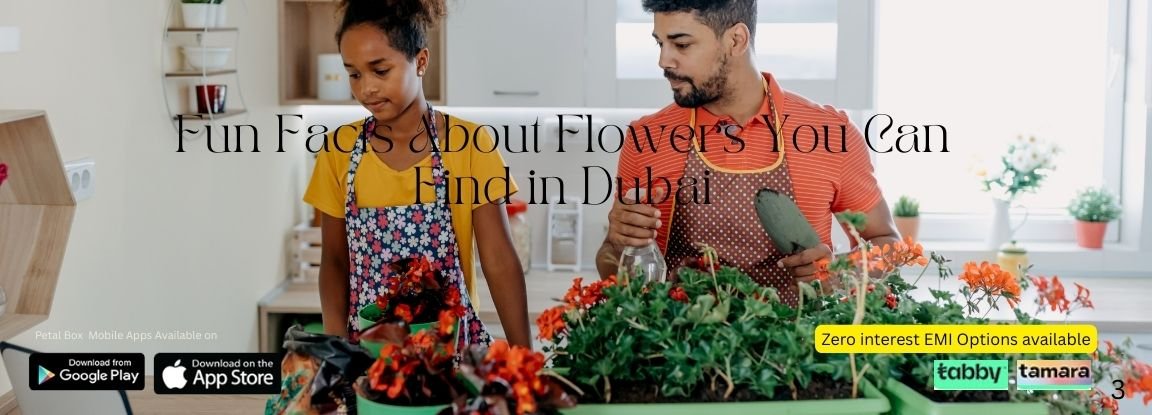 Fun Facts About Flowers You Can Find in Dubai