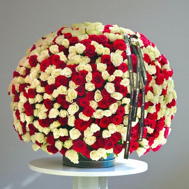 Roses VIP Arrangement